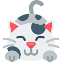 The Cat Tab logo
